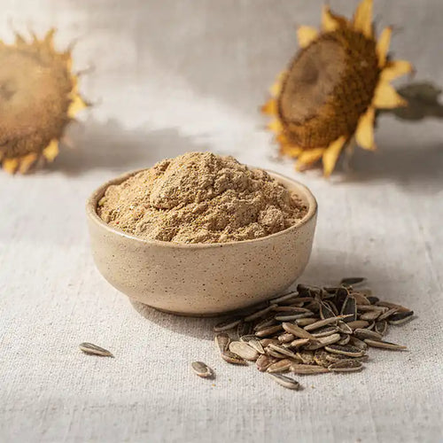Bio-Sonnenblumenprotein